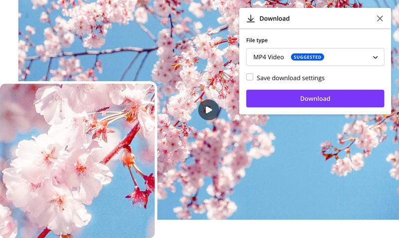Dobór formatu wideo