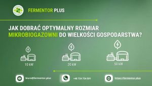 Optymalny rozmiar zdjęcia na Allegro – jak go wybrać?