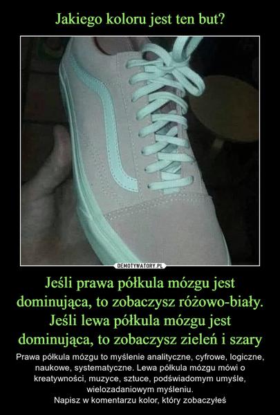 Kolory butów